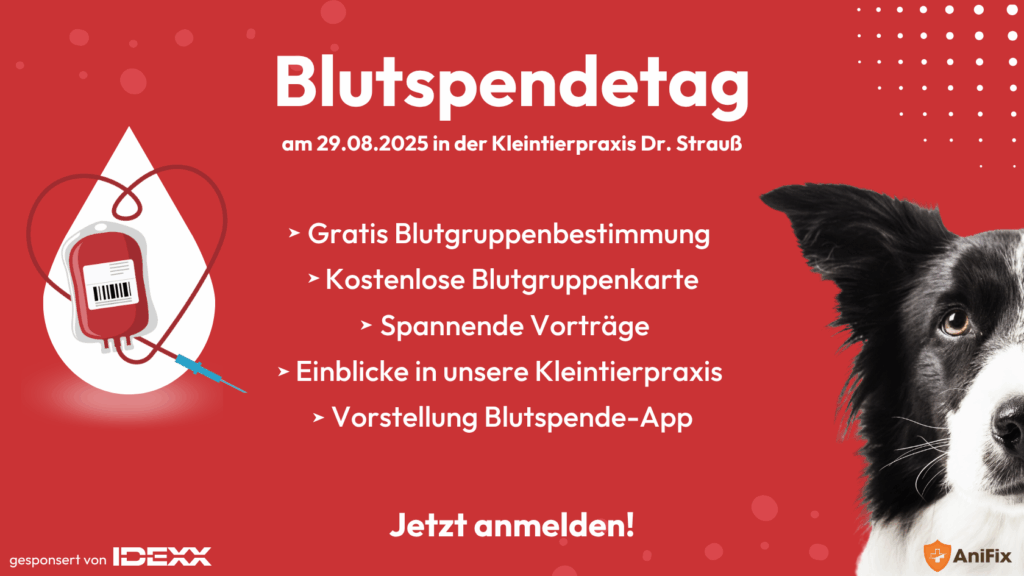 BlutspendetagPraxis