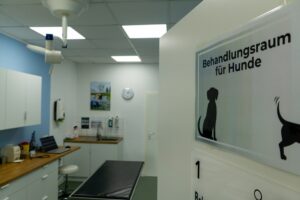 Behandlungsraum Hund 1
