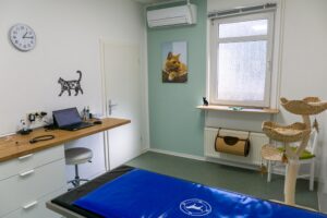 Behandlungsraum Katze 1