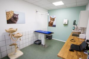 Behandlungsraum Katze 2