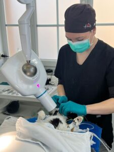 Diagnostik Zahnröntgen