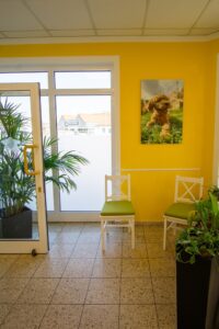 Hundewartezimmer