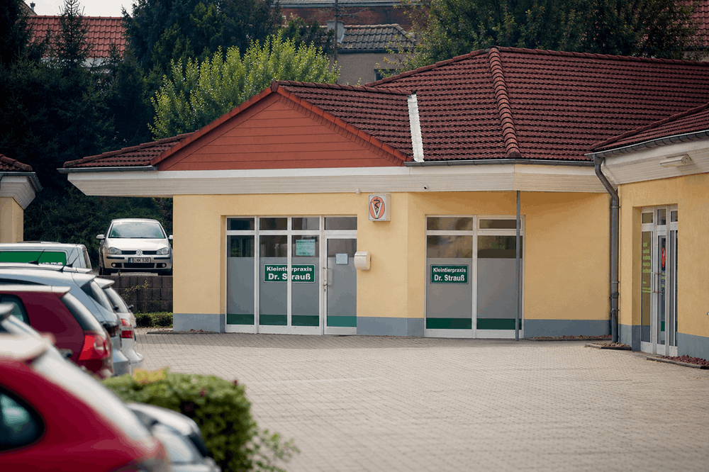 Kleintierpraxis Löbejün