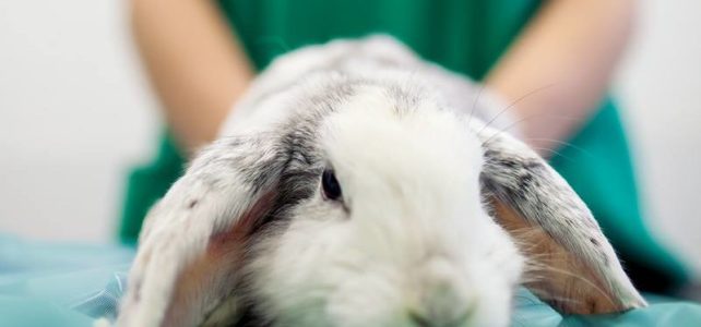 Vorsorge für den Todesfall & die Bestattung
